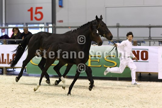 PRINCESS LIESA_MILANO_2010_SS3_7457.jpg